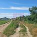 Teren 3500 mp, intravilan, pretabil case, Sabareni